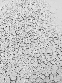 High angle view of dry leaf on land
