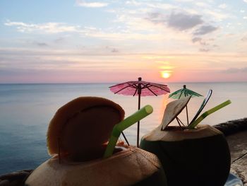 Close-up of plant against sea during sunset