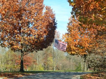 Scenic view of autumn trees against sky