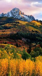 Scenic view of forest against cloudy sky during autumn