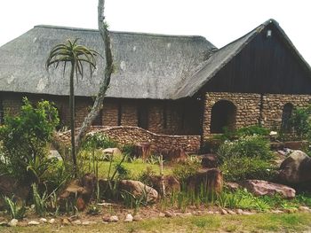 Plants by trees against built structure