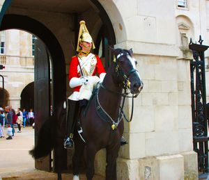 View of horse in street