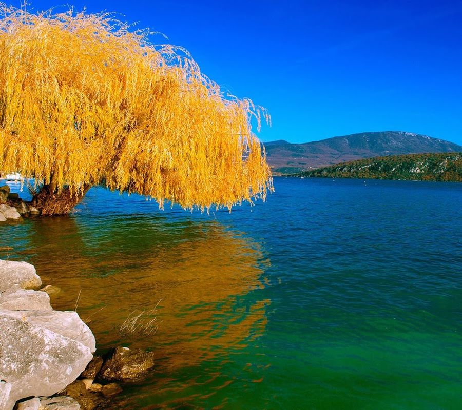 blue, clear sky, water, tranquil scene, tranquility, scenics, beauty in nature, mountain, nature, copy space, lake, idyllic, river, yellow, outdoors, built structure, non-urban scene, tree, waterfront, reflection