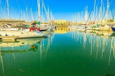 Sailboats moored in harbor