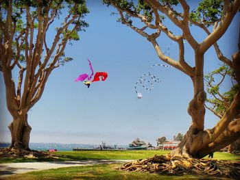 Bird flying by tree against sky