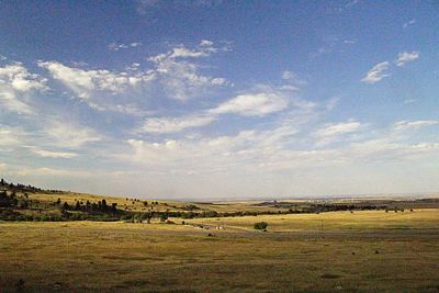 Scenic view of field against sky