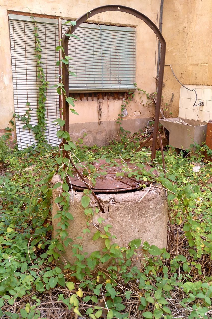 ABANDONED BUILDING WITH PLANTS