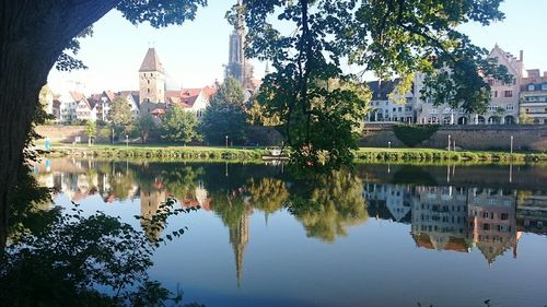 Reflection of trees in lake