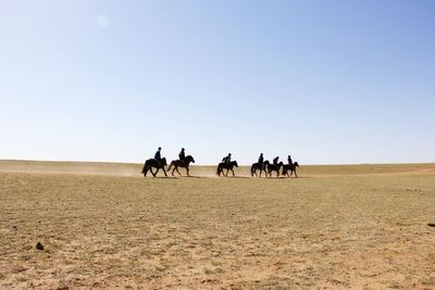 People riding horse on desert against clear sky