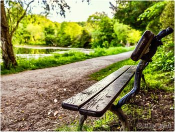 Empty bench in park