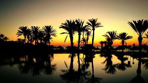 Silhouette of palm trees at swimming pool