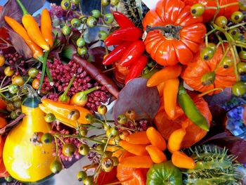 High angle view of orange flowering plants at market