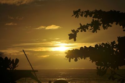 Silhouette tree by sea against sky during sunset