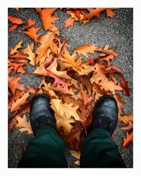 Low section of man standing on autumn leaves