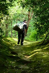 Rear view of man walking in forest