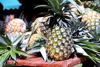 Close-up of fruits