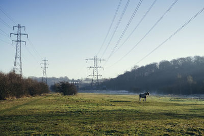 Horses on field against sky
