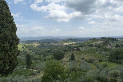 High angle view of trees on landscape against sky