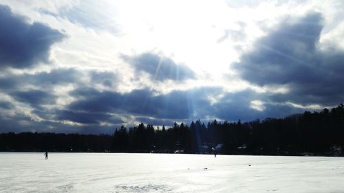 Scenic view of snow covered trees against sky
