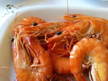 High angle view of shrimp in plate