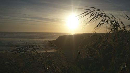 Sun shining over sea