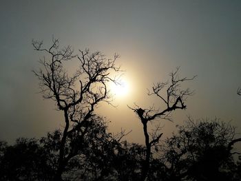 Low angle view of silhouette bare tree against sky