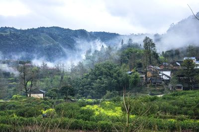 Scenic view of trees and buildings against sky