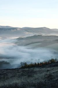 Scenic view of landscape against sky