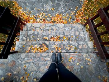 Low section of person standing on autumn leaves