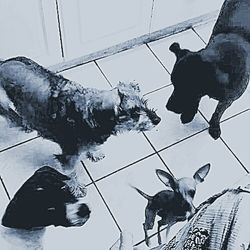 Close-up of woman in bikini