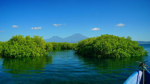 Scenic view of lake against blue sky