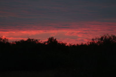 Silhouette trees against sky during sunset