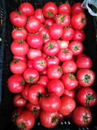High angle view of tomatoes for sale in market