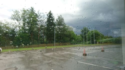 Rain drops on water
