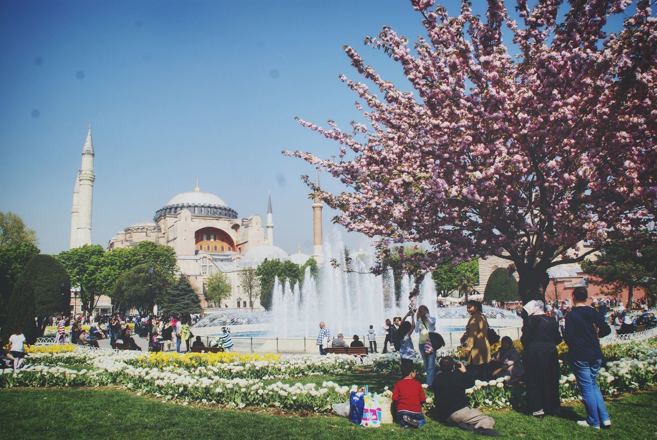 large group of people, real people, tree, architecture, women, travel destinations, men, tourism, outdoors, travel, day, built structure, nature, flower, spraying, clear sky, building exterior, vacations, water, sky, people, adult