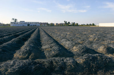 Panoramic view of landscape against sky