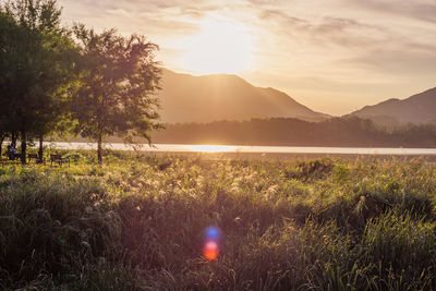 Scenic view of field against sky during sunset