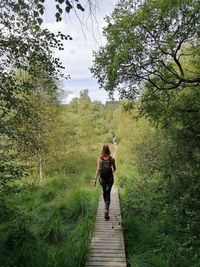 Rear view of man walking on footpath in forest