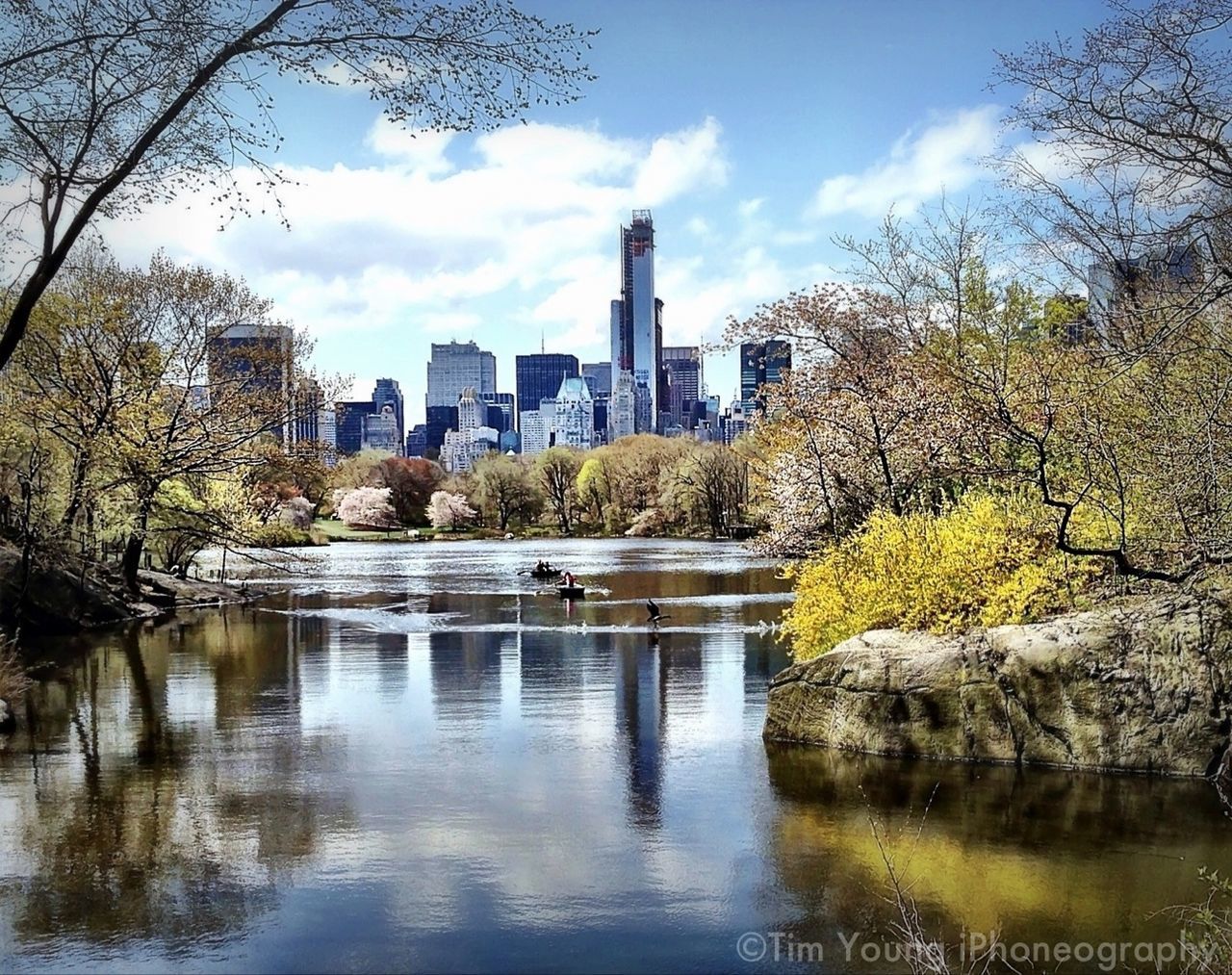 architecture, building exterior, built structure, tree, water, city, skyscraper, sky, river, reflection, waterfront, modern, cityscape, tower, tall - high, lake, cloud - sky, office building, urban skyline, growth