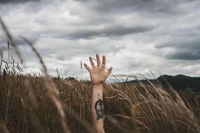 Cropped hand of mid adult man with tattoo amidst plants against cloudy sky