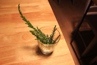 High angle view of potted plant on table