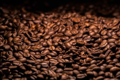 Close-up of coffee beans