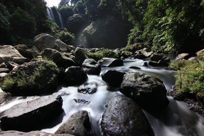 Scenic view of waterfall in forest