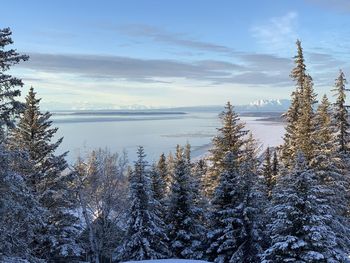 Winter view of the cook inlet northern pacific ocean outside of anchorage alaska