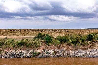 Scenic view of river against sky
