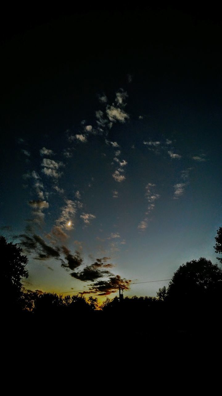 SILHOUETTE TREES AGAINST SKY