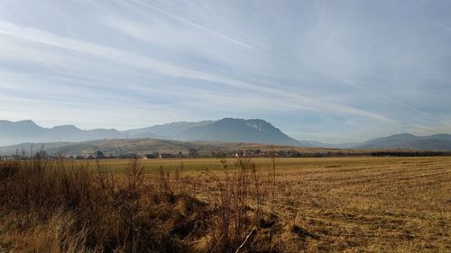 Scenic view of field against sky