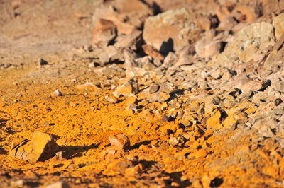 Full frame shot of rocks