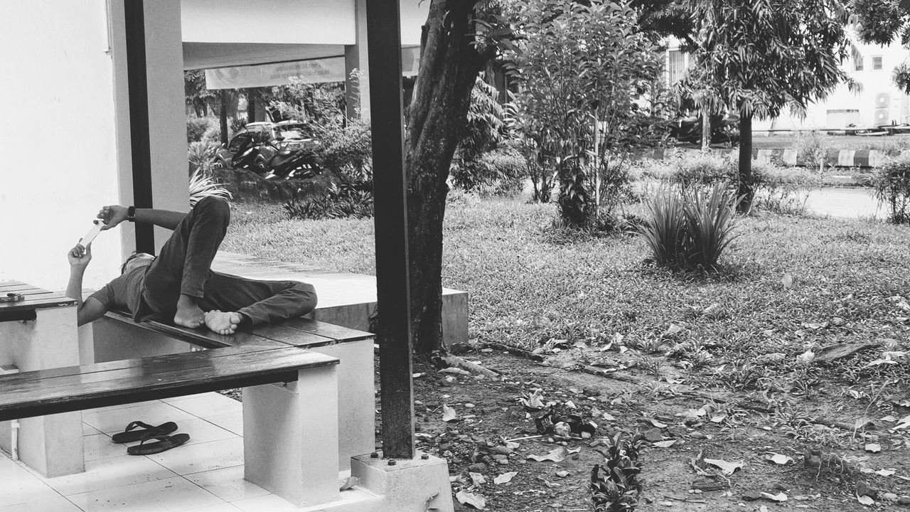 SIDE VIEW OF MAN SITTING ON CHAIR AGAINST TREES