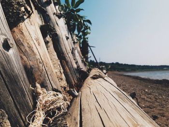 Close-up of wooden door